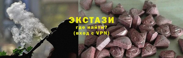 индика Новозыбков