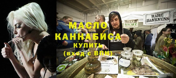 индика Новозыбков