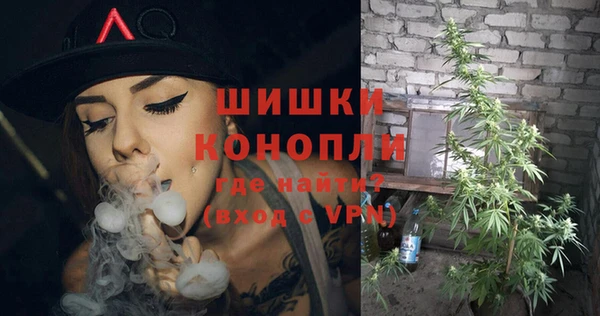 дурь Новодвинск