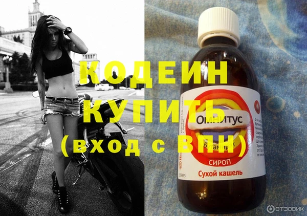 дурь Новодвинск