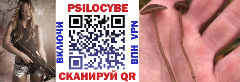 маркетплейс клад Хилок Псилоцибиновые грибы Cubensis